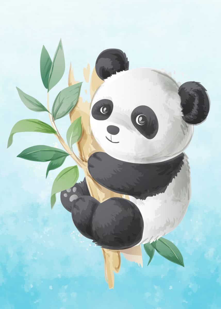 Hình hình họa anime chibi panda siêu dễ dàng thương