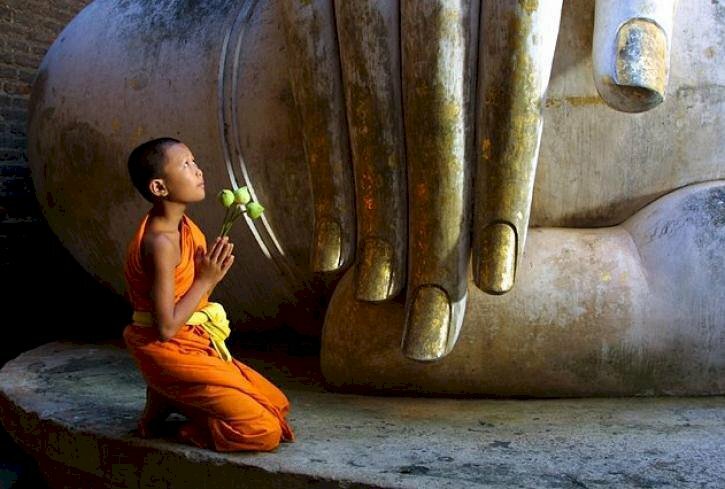 Ảnh bìa ôm hoa sen bái Phật