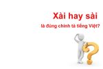Xài hay sài là đúng chính tả tiếng Việt? 90% dùng sai